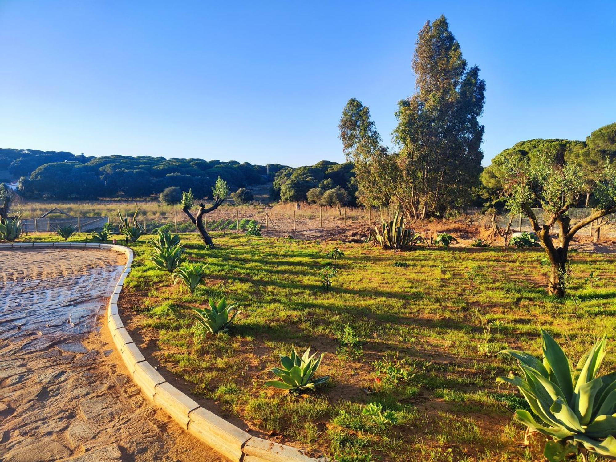 Hacienda La Yerbabuena Villa Cádiz Kültér fotó